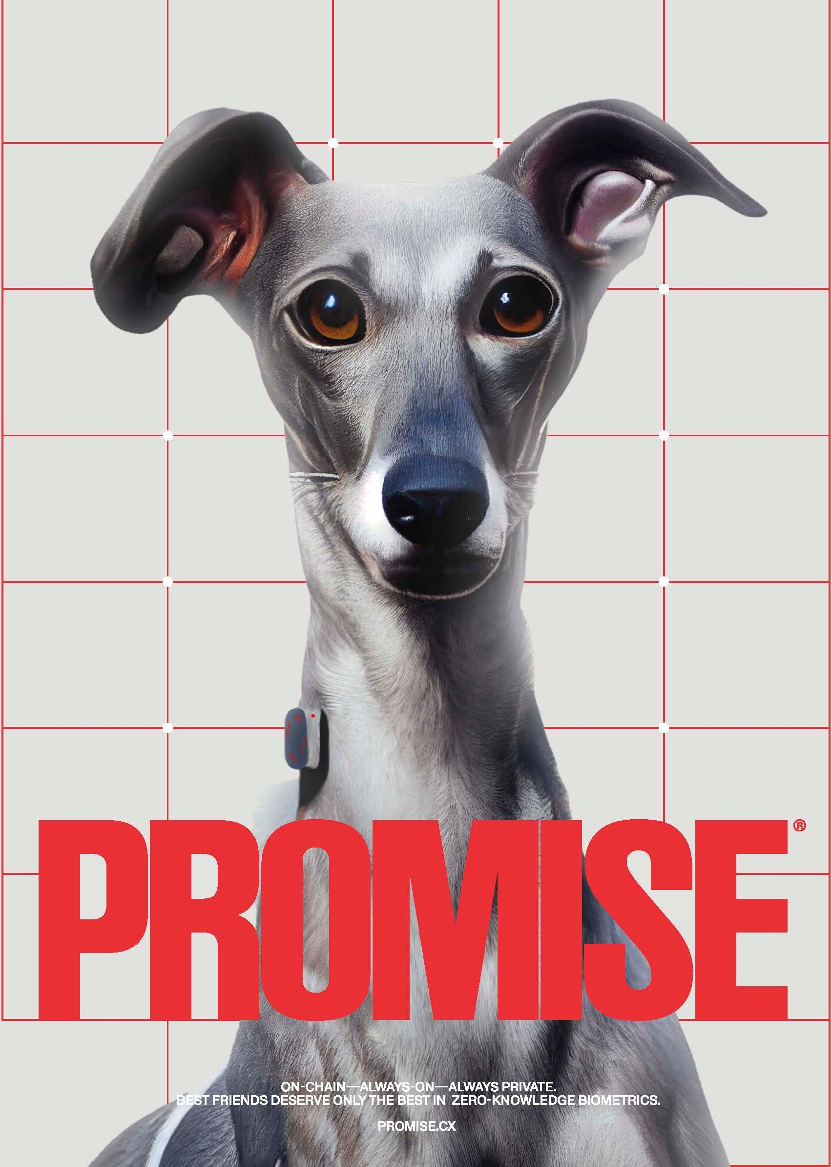Promise, for Zora Zine